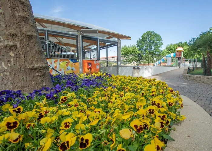 公寓式酒店 Alice 多米勒托